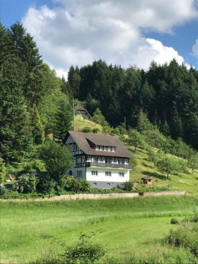 Ferienwohnung Hesselbach, Oberkirch